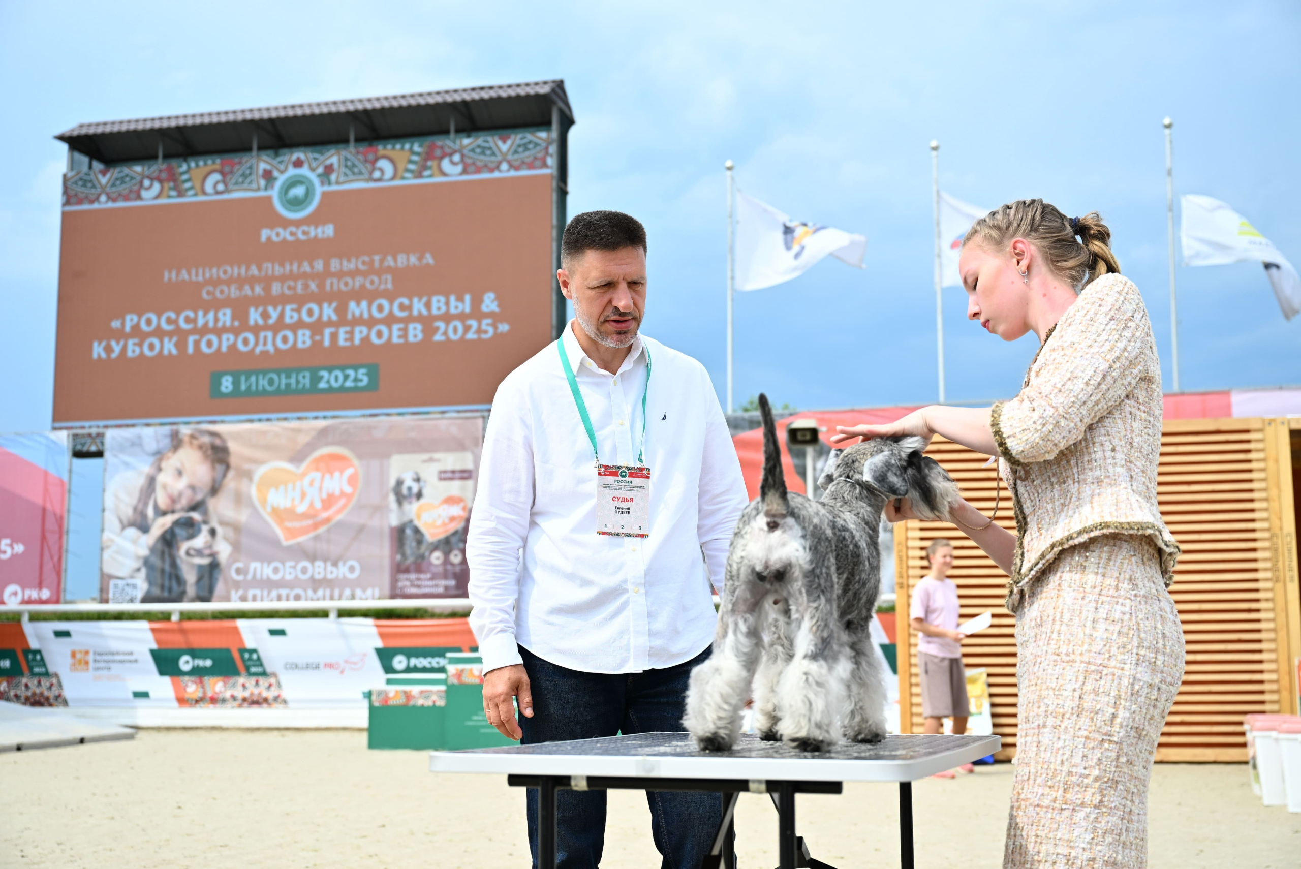 В Подмосковье состоялась выставка собак всех пород «Россия 2025»