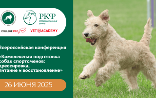 Всероссийская конференция «Комплексная подготовка собак спортсменов: дрессировка, питание и восстановление»