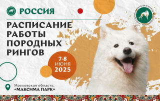 Расписание работы породных рингов на оба дня выставки «Россия 2025»