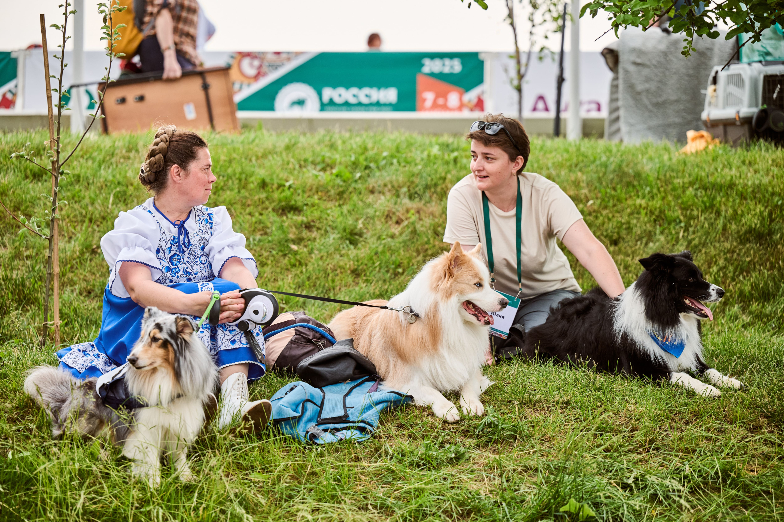 В Подмосковье состоялась выставка собак всех пород «Россия 2025»