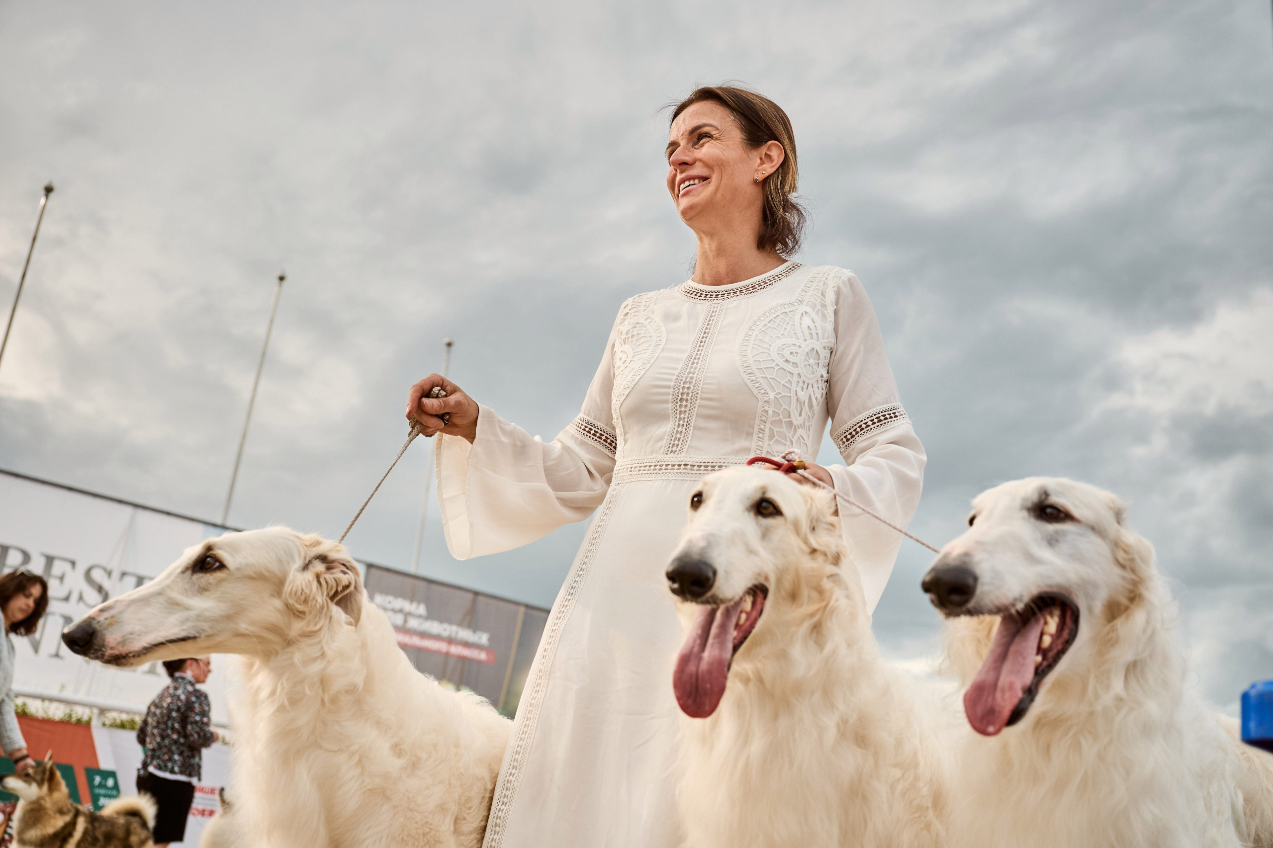 В Подмосковье состоялась выставка собак всех пород «Россия 2025»