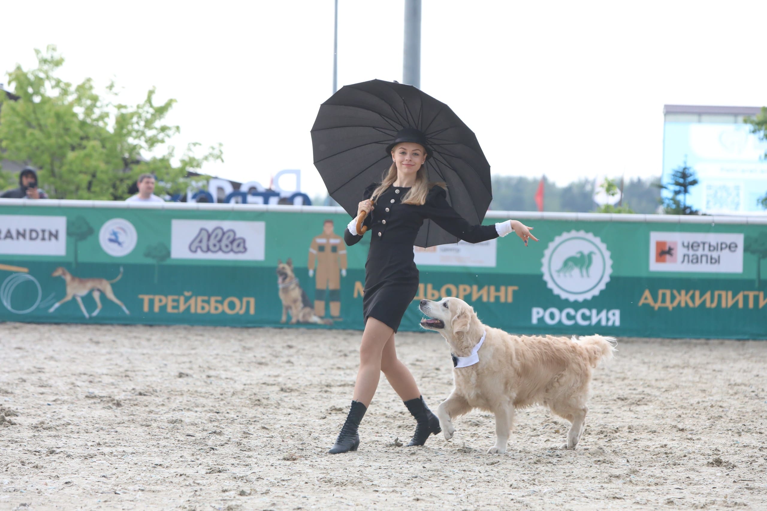В Подмосковье состоялась выставка собак всех пород «Россия 2025»