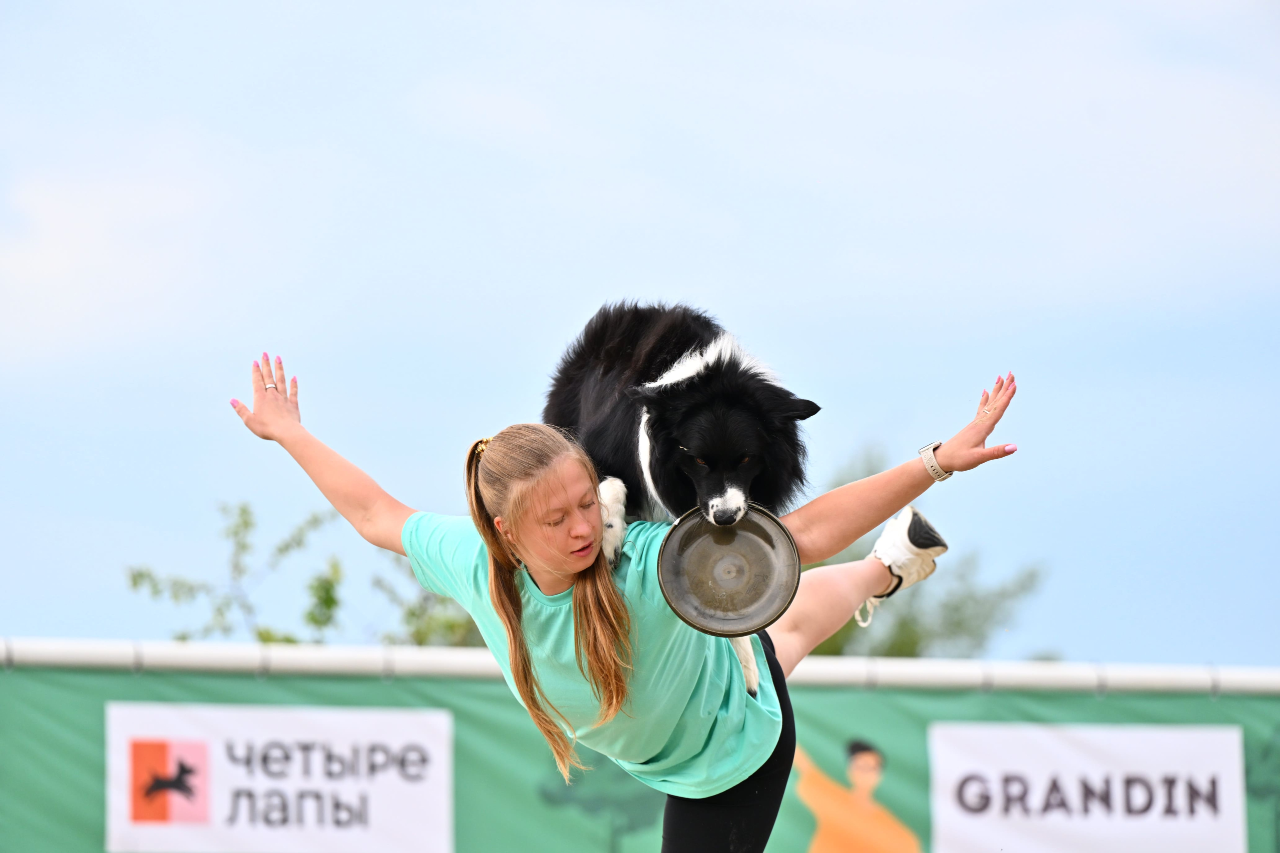 В Подмосковье состоялась выставка собак всех пород «Россия 2025»