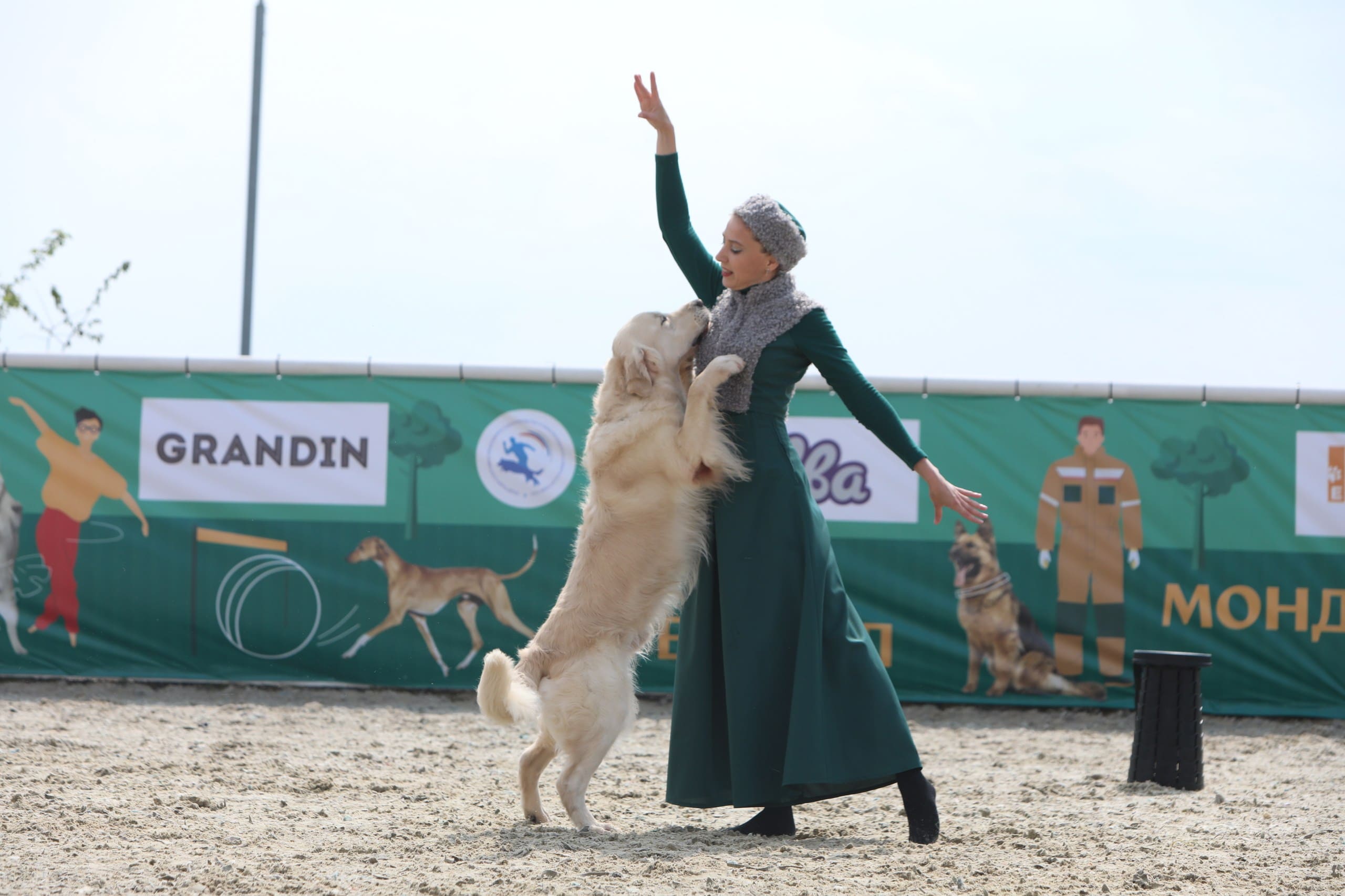 В Подмосковье состоялась выставка собак всех пород «Россия 2025»