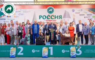 В Подмосковье состоялась выставка собак всех пород «Россия 2025»