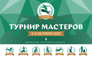 Турнир мастеров