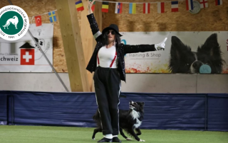 Долгожданные победы на международных турнирах по аджилити и танцам с собаками