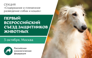 3 октября РКФ приглашает в Общественную палату РФ на заседание секции «Содержание и племенное разведение собак и кошек»