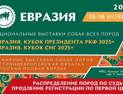 Распределение пород по судьям на выставке «Евразия 2025» и продление регистрации по первой цене