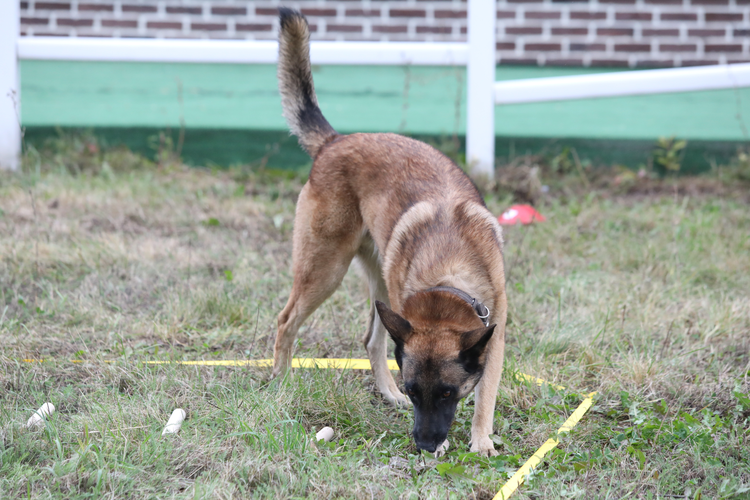 Первый Турнир мастеров прошел в Москве Первый Турнир мастеров прошел в Москве