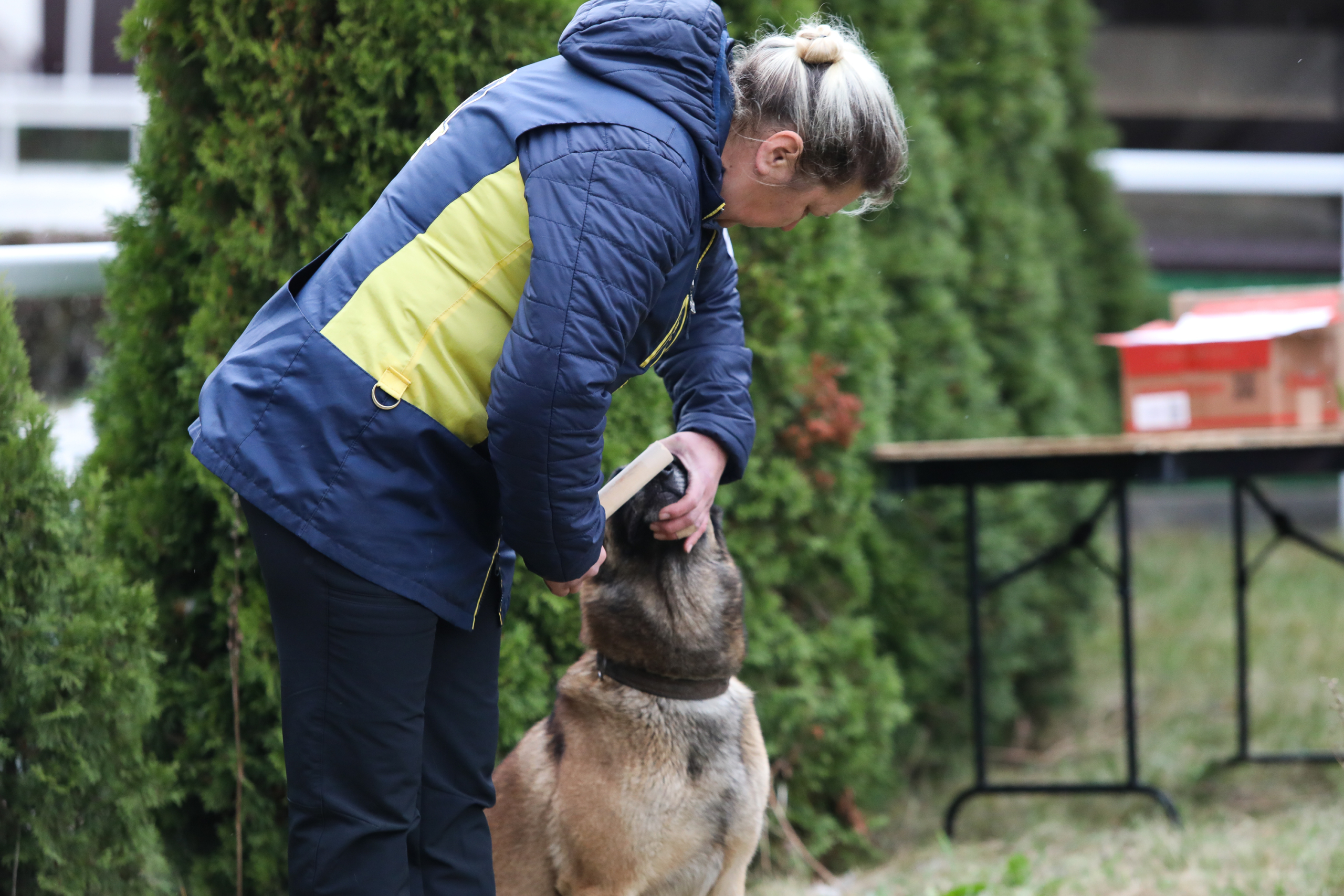 Первый Турнир мастеров прошел в Москве Первый Турнир мастеров прошел в Москве