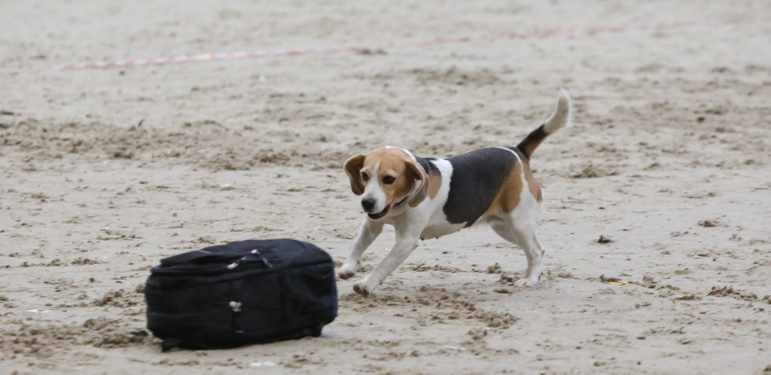 Первый Турнир мастеров прошел в Москве Первый Турнир мастеров прошел в Москве