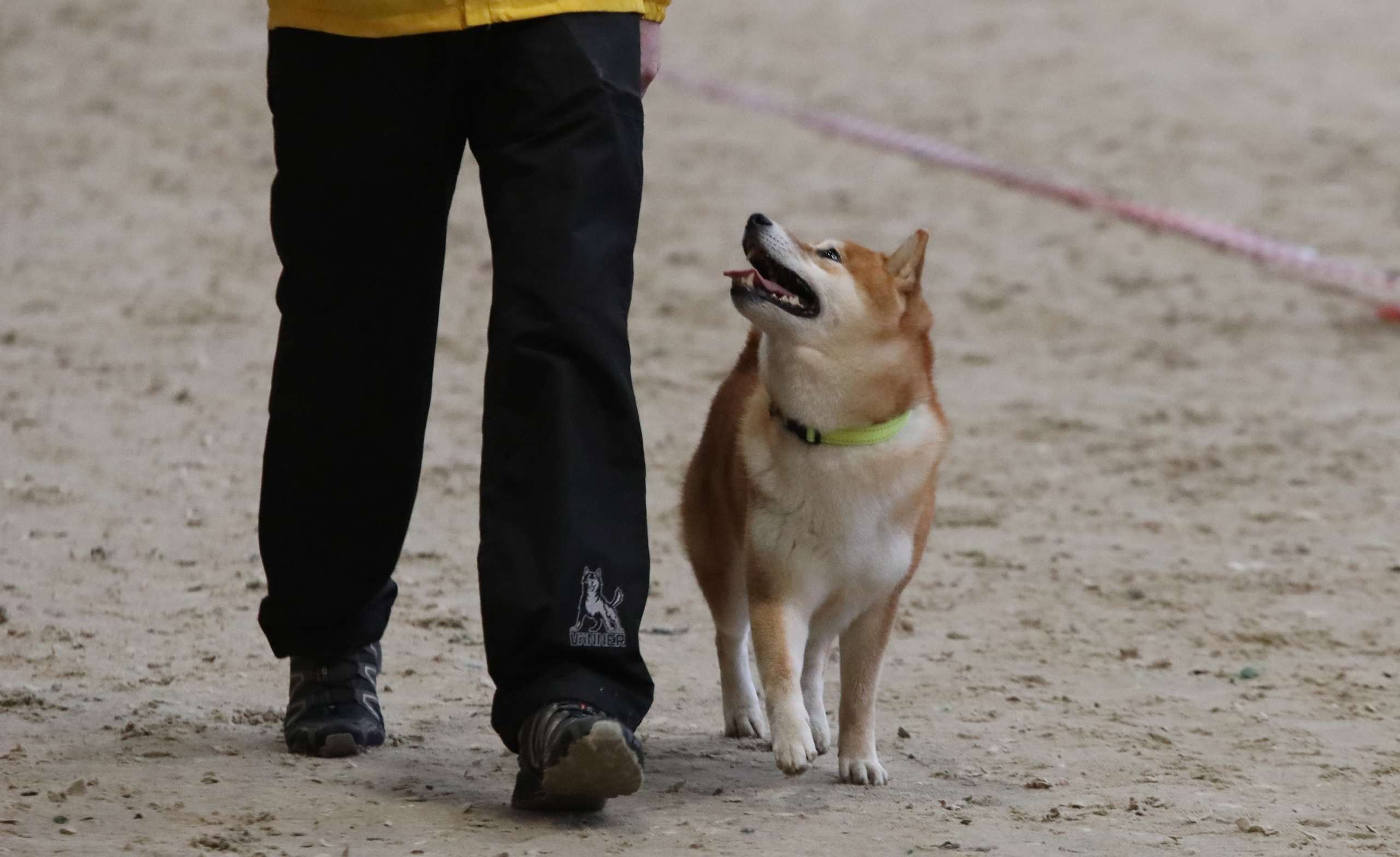 Первый Турнир мастеров прошел в Москве Первый Турнир мастеров прошел в Москве