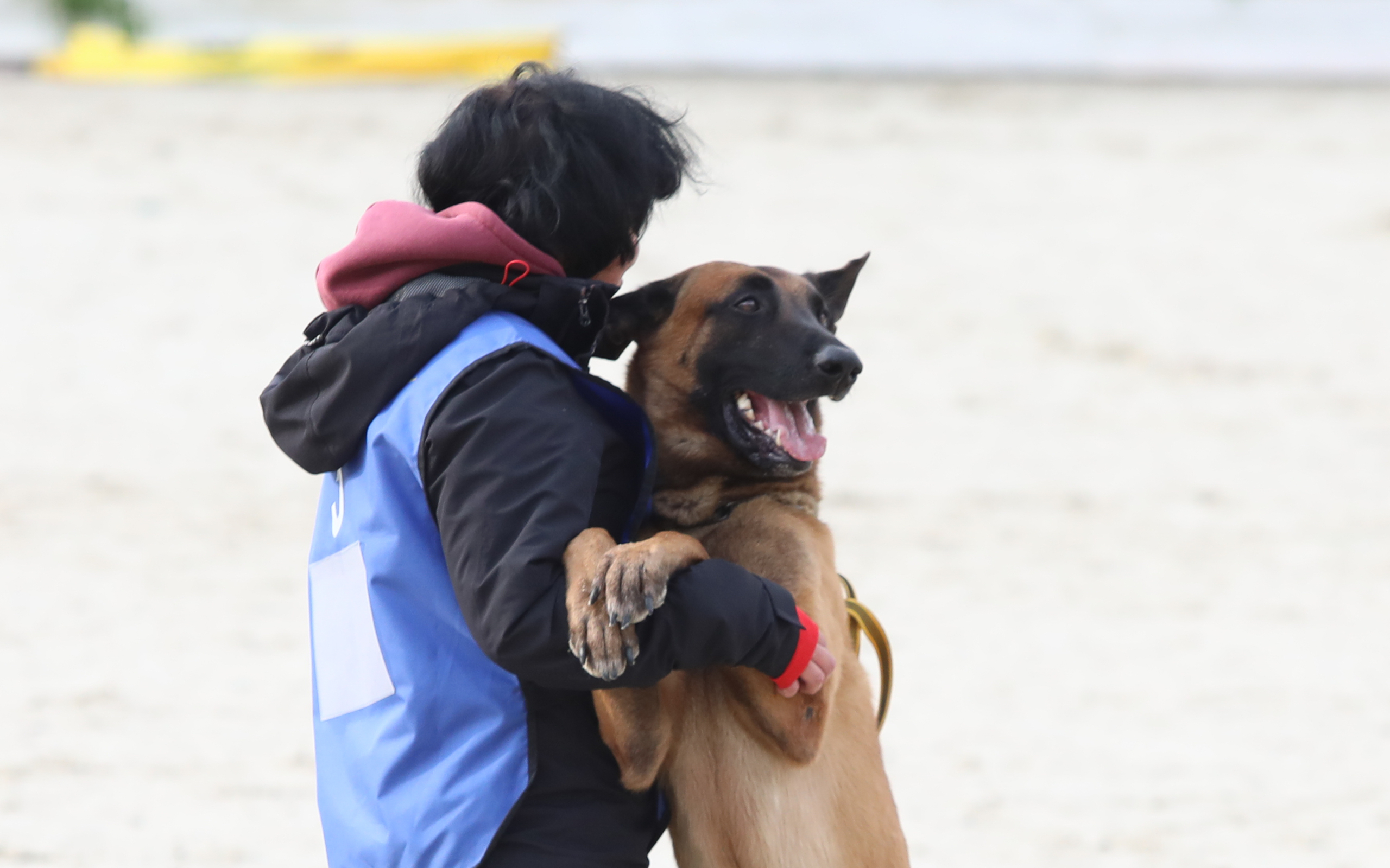 Первый Турнир мастеров прошел в Москве Первый Турнир мастеров прошел в Москве