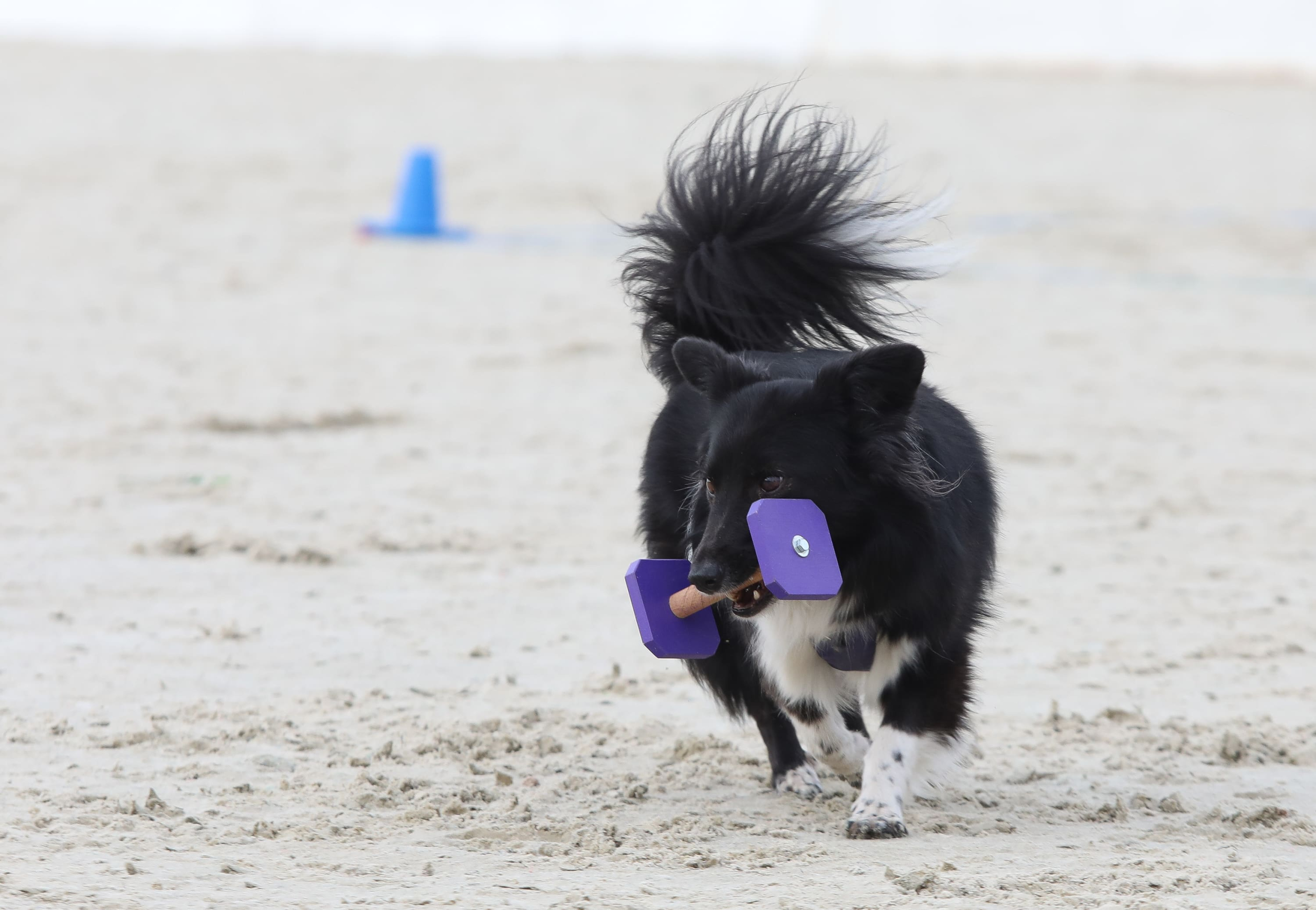 Первый Турнир мастеров прошел в Москве Первый Турнир мастеров прошел в Москве