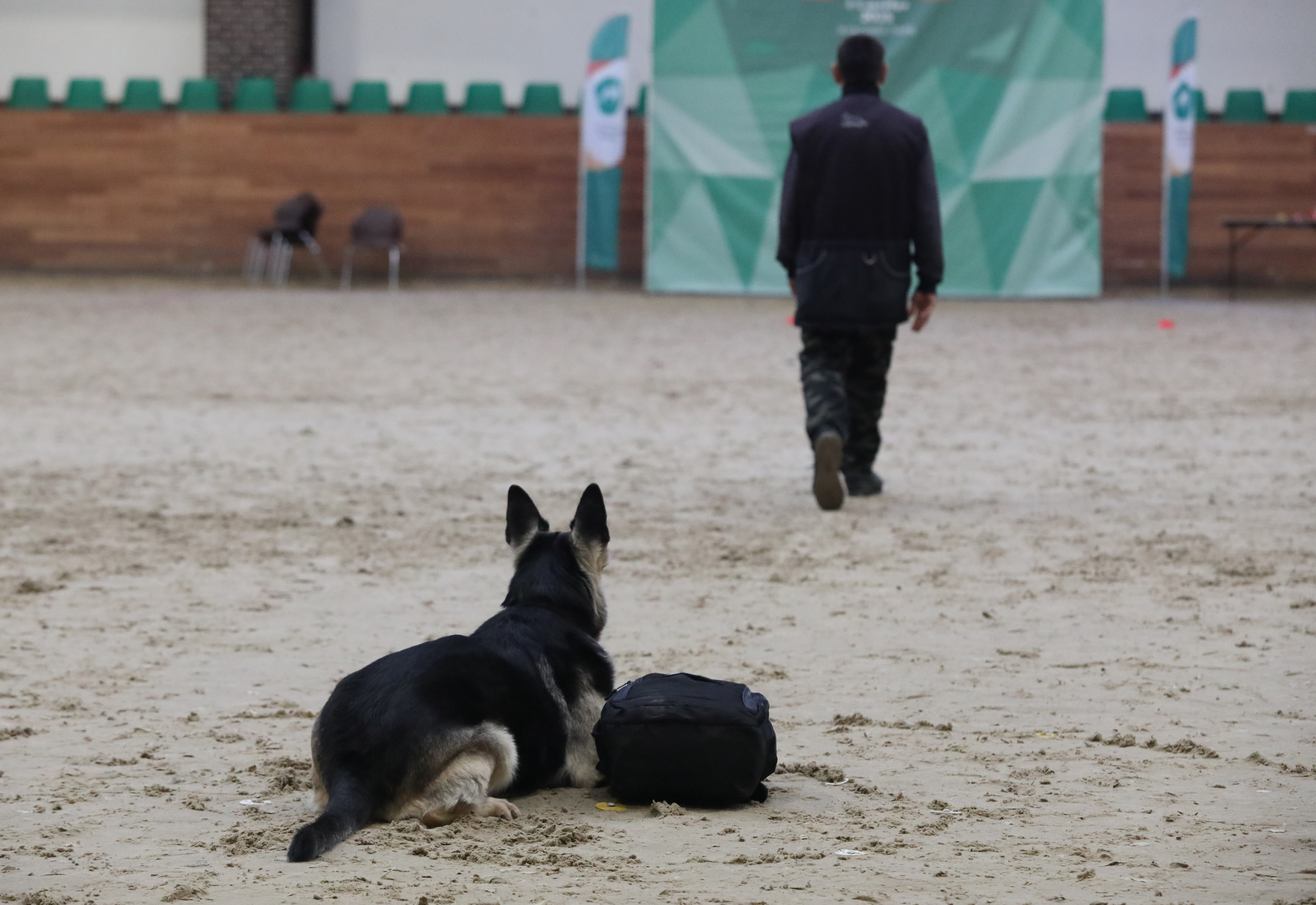 Первый Турнир мастеров прошел в Москве Первый Турнир мастеров прошел в Москве