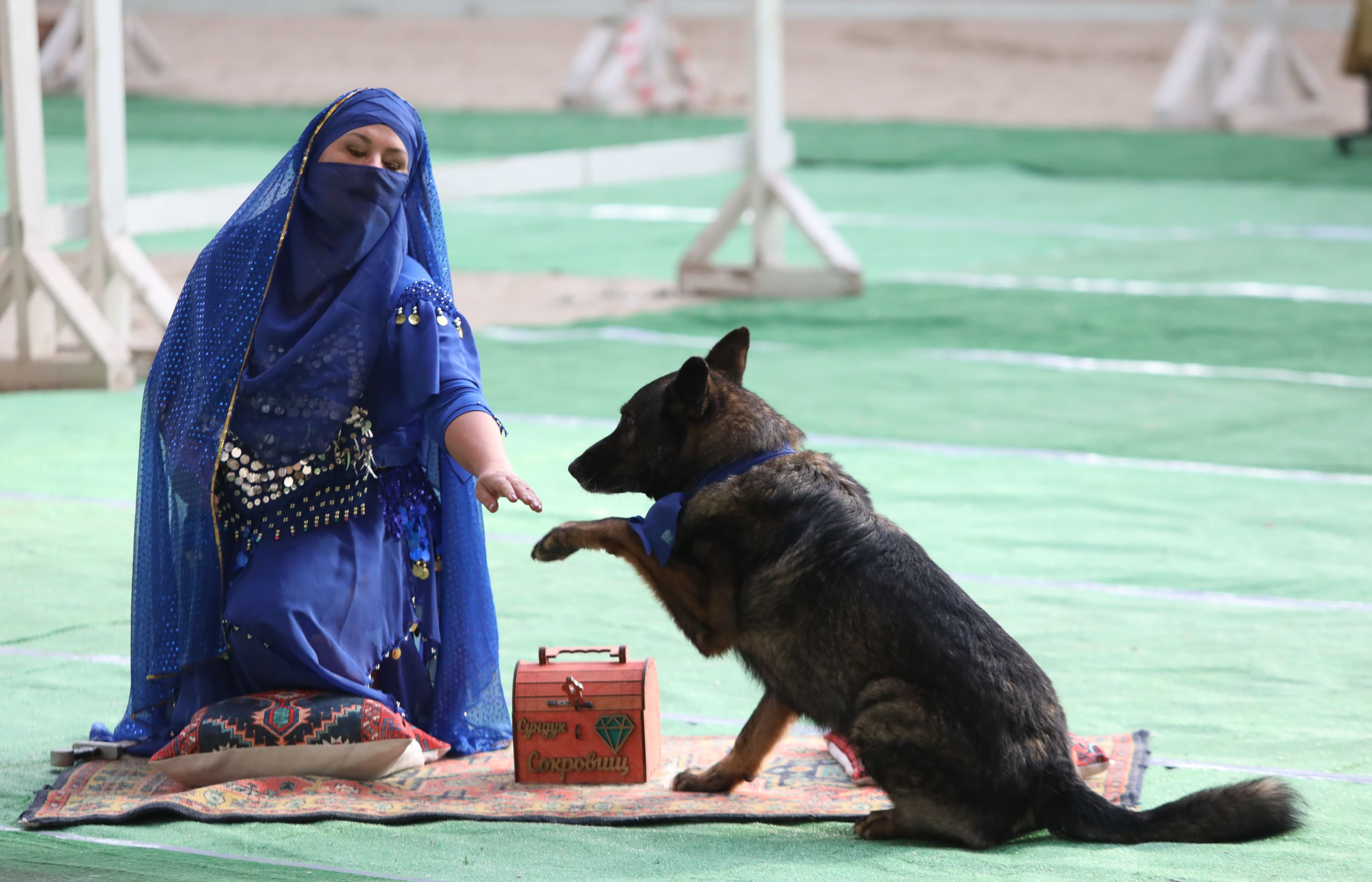 Первый Турнир мастеров прошел в Москве Первый Турнир мастеров прошел в Москве