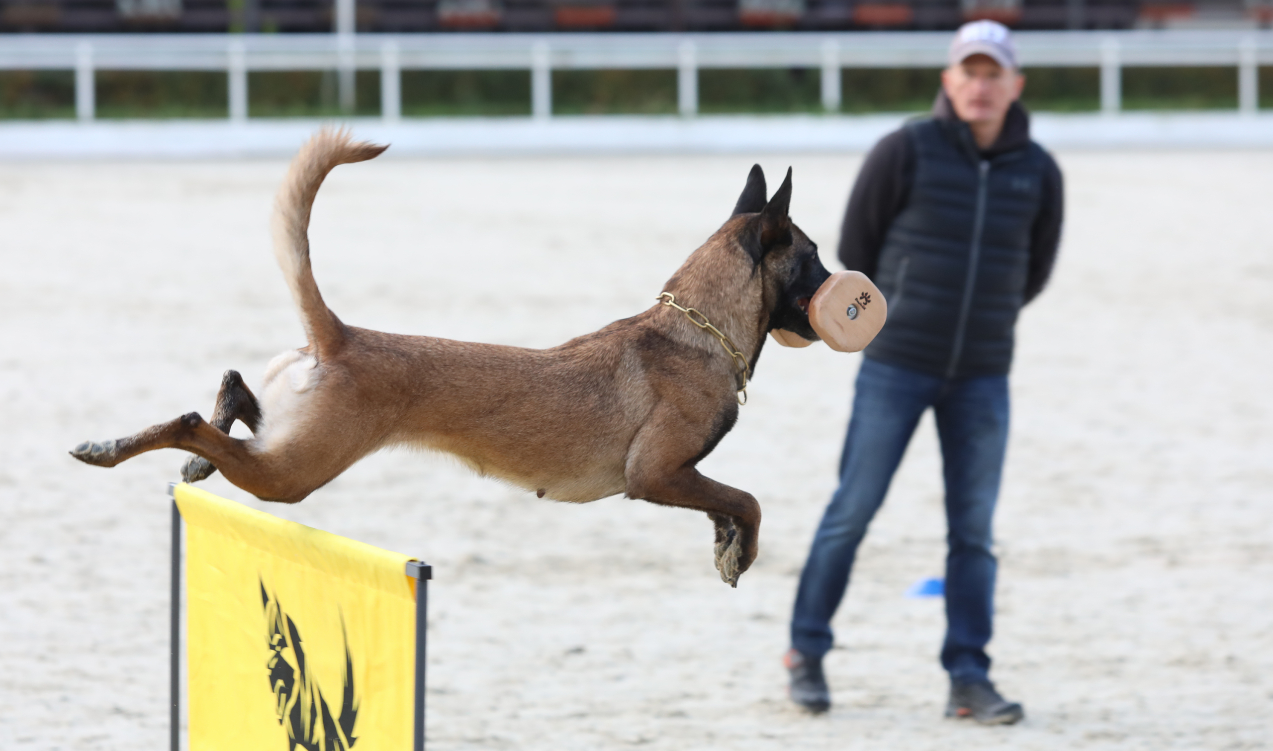 Первый Турнир мастеров прошел в Москве Первый Турнир мастеров прошел в Москве