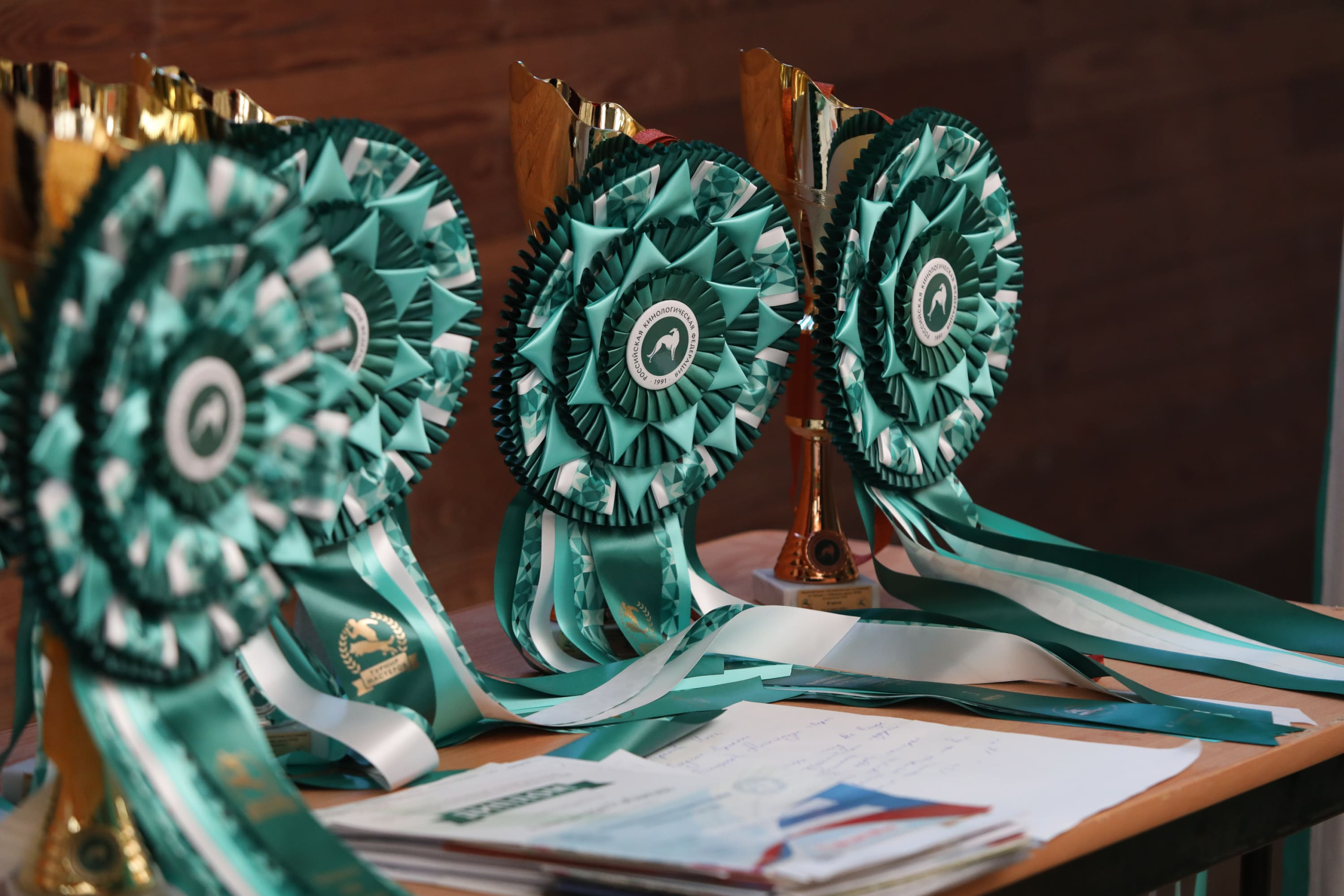 Первый Турнир мастеров прошел в Москве Первый Турнир мастеров прошел в Москве