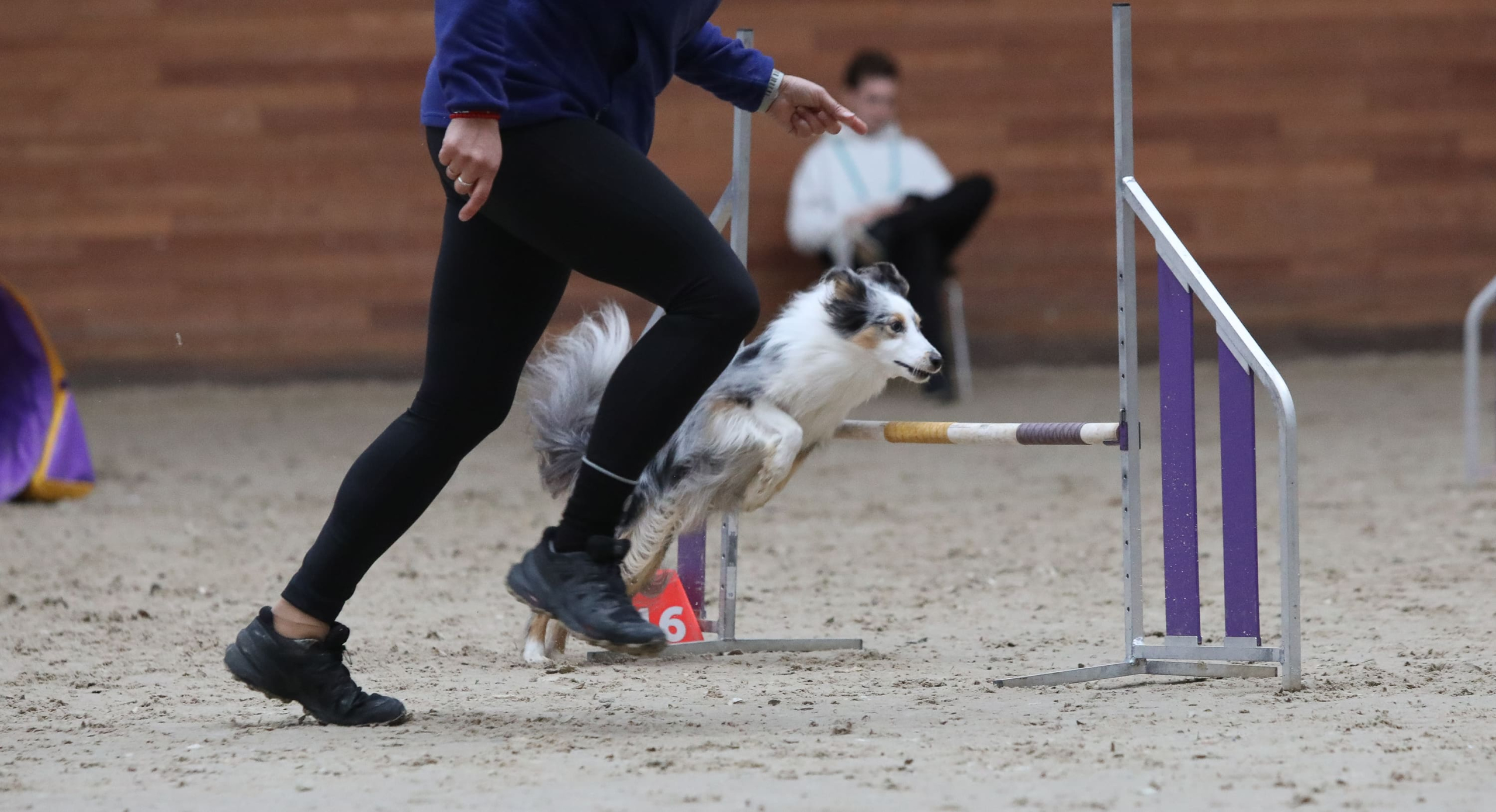 Первый Турнир мастеров прошел в Москве Первый Турнир мастеров прошел в Москве