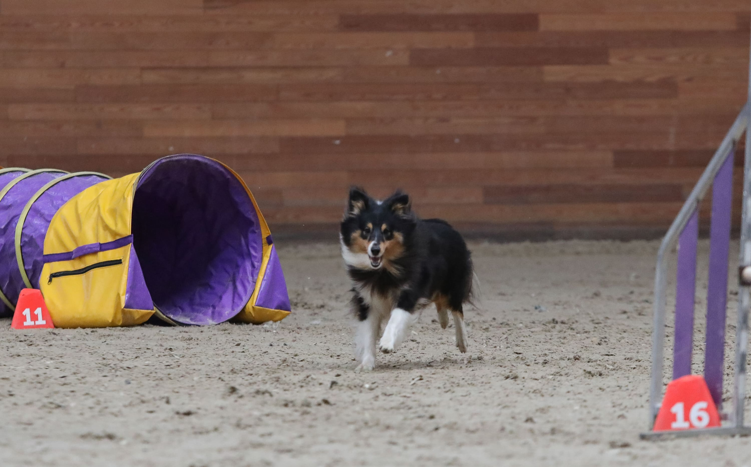 Первый Турнир мастеров прошел в Москве Первый Турнир мастеров прошел в Москве