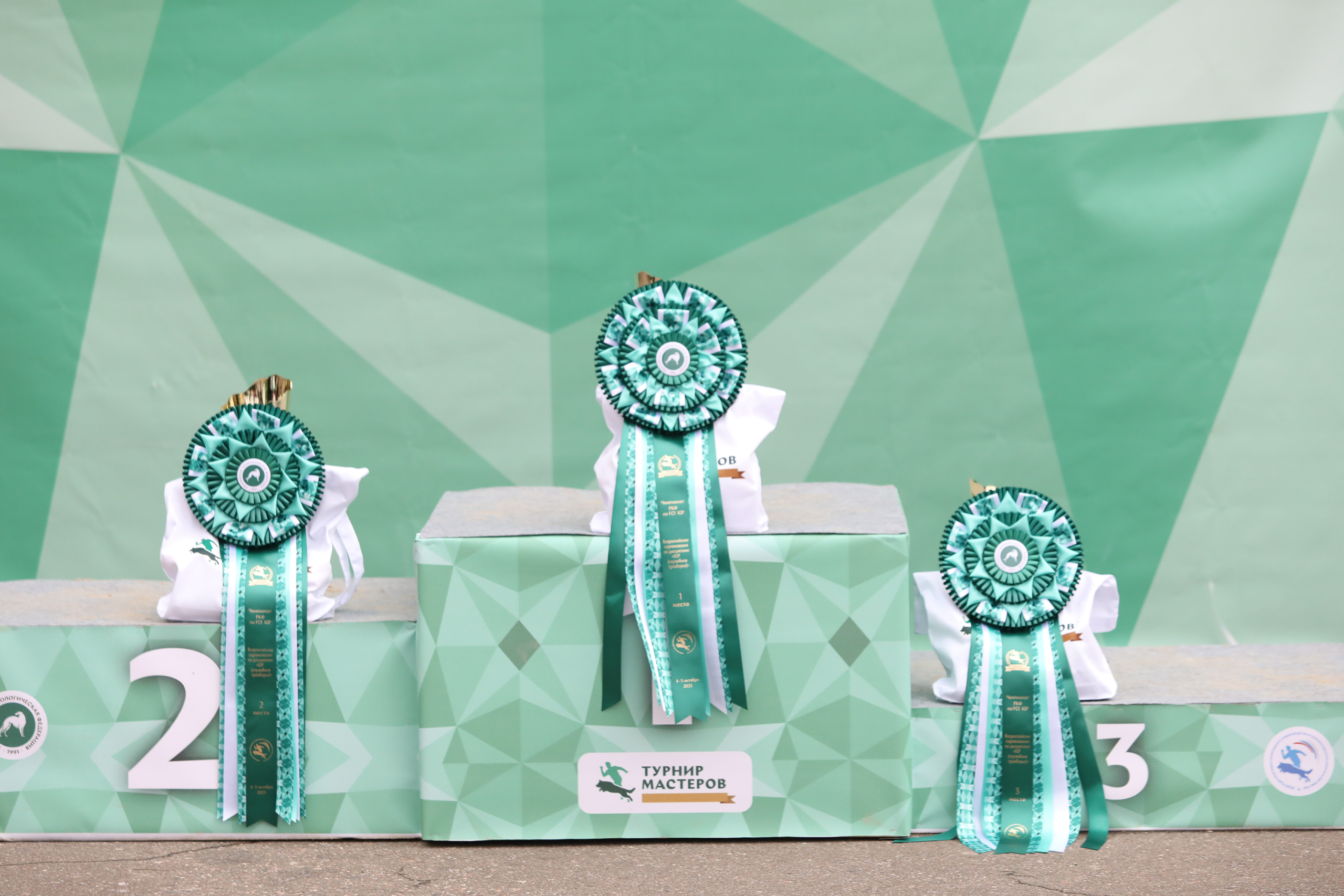 Первый Турнир мастеров прошел в Москве Первый Турнир мастеров прошел в Москве