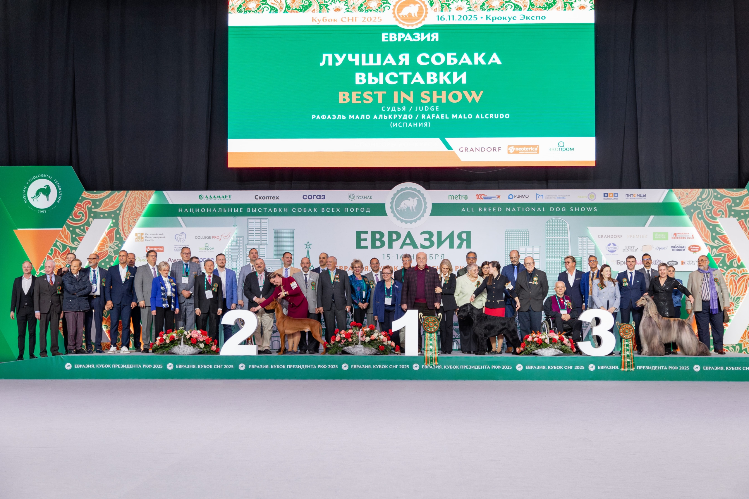 В Москве прошла выставка собак «Евразия 2025»