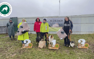 Чемпионат России РКФ по пастушьей службе