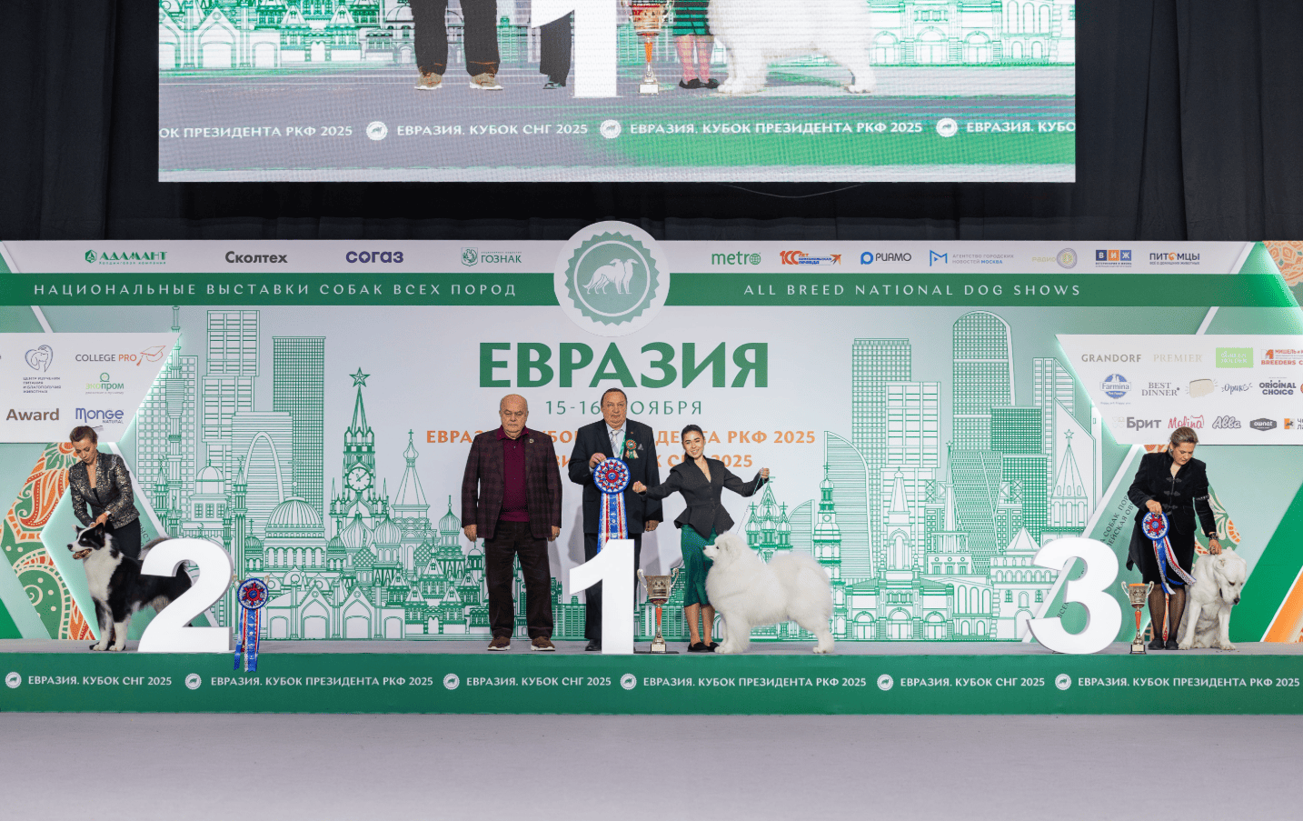В Москве прошла выставка собак «Евразия 2025» В Москве прошла выставка собак «Евразия 2025»