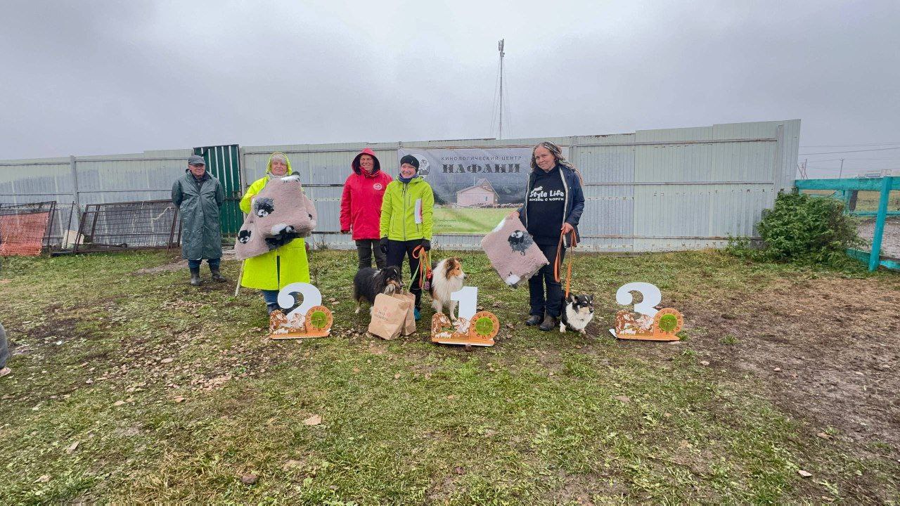 Чемпионат России РКФ по пастушьей службе