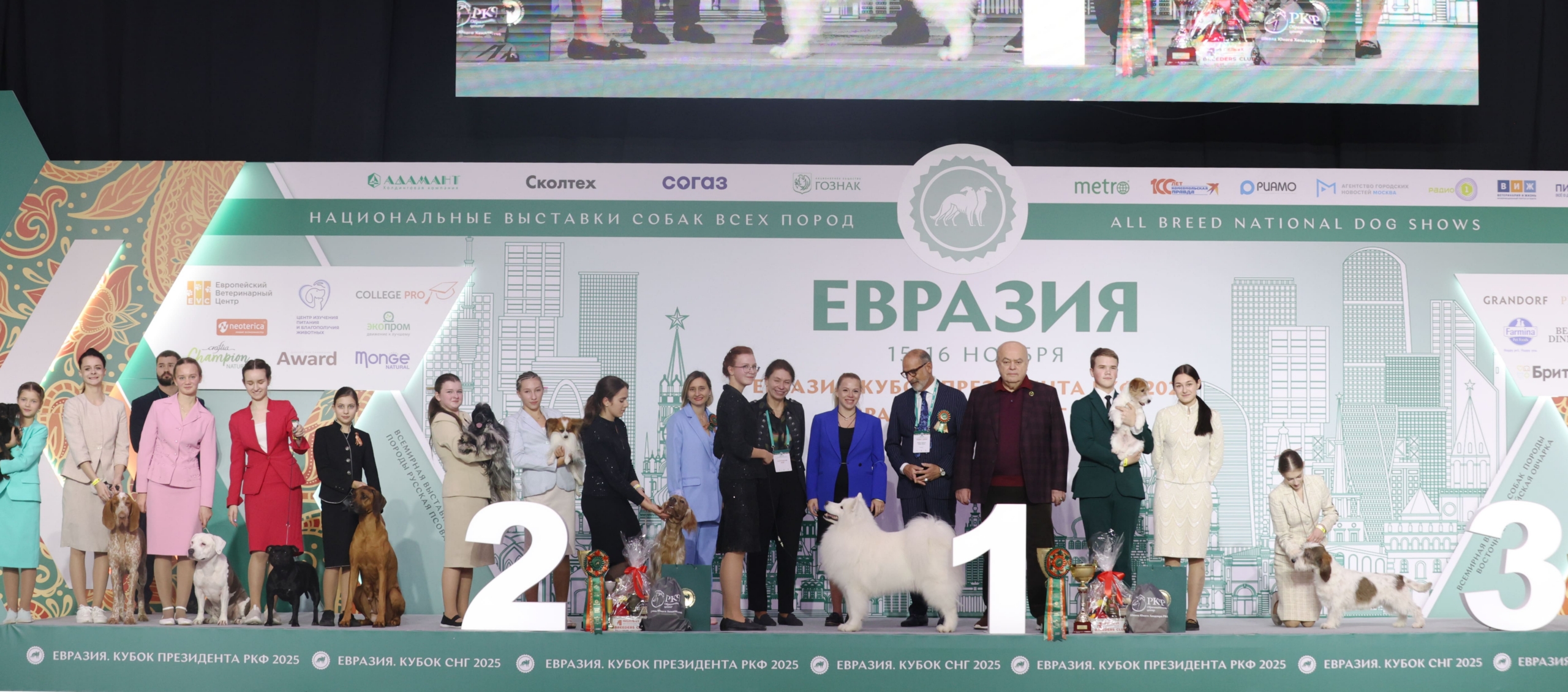 В Москве прошла выставка собак «Евразия 2025» В Москве прошла выставка собак «Евразия 2025»