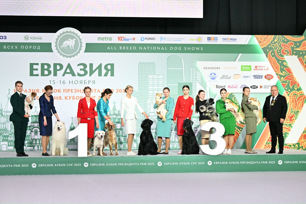 В Москве прошла выставка собак «Евразия 2025» В Москве прошла выставка собак «Евразия 2025»