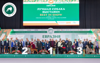 В Москве прошла выставка собак «Евразия 2025»