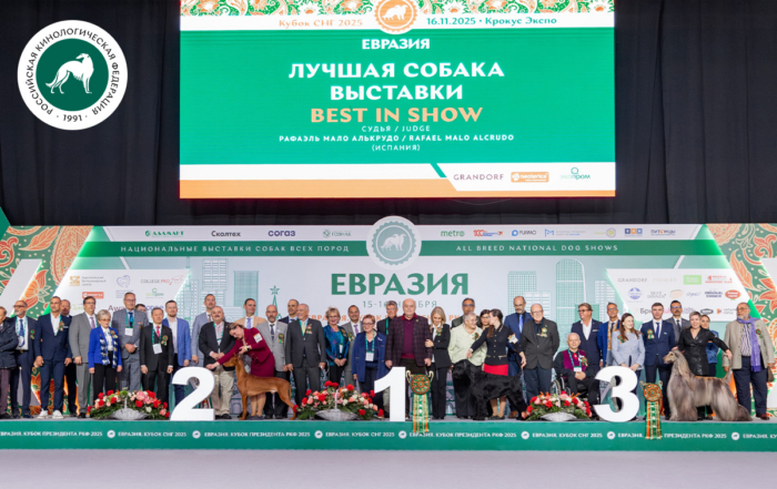 В Москве прошла выставка собак «Евразия 2025»
