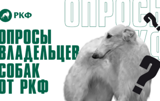 Опросы владельцев собак от РКФ