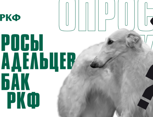 Опросы владельцев собак от РКФ