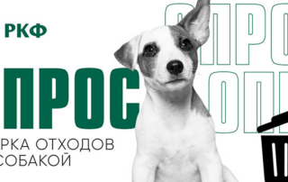 ОБ УБОРКЕ ЗА СОБАКОЙ