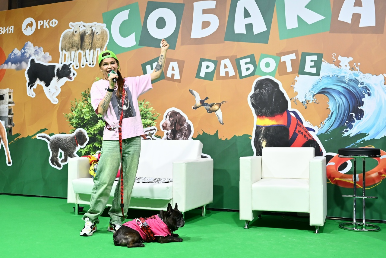 В Москве прошла выставка собак «Евразия 2025» В Москве прошла выставка собак «Евразия 2025»