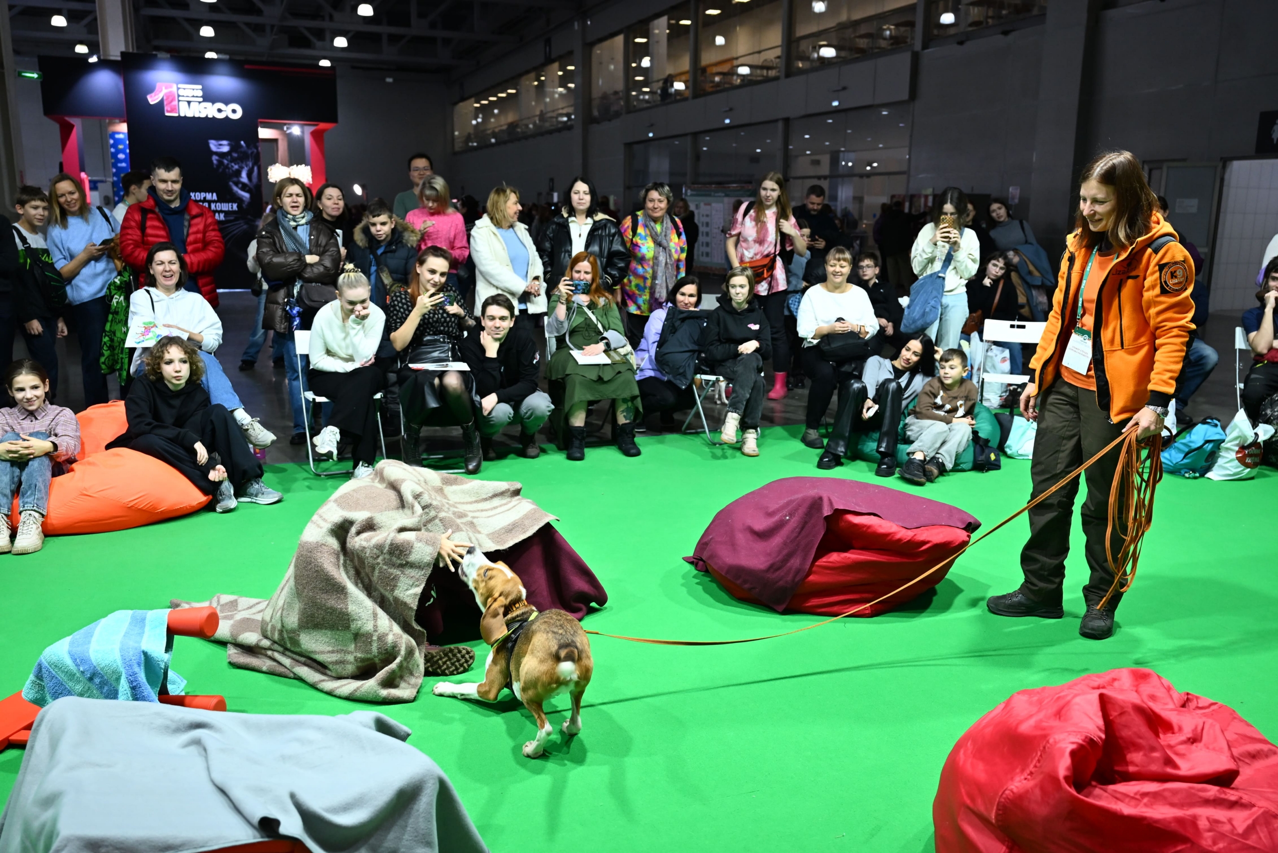 В Москве прошла выставка собак «Евразия 2025» В Москве прошла выставка собак «Евразия 2025»