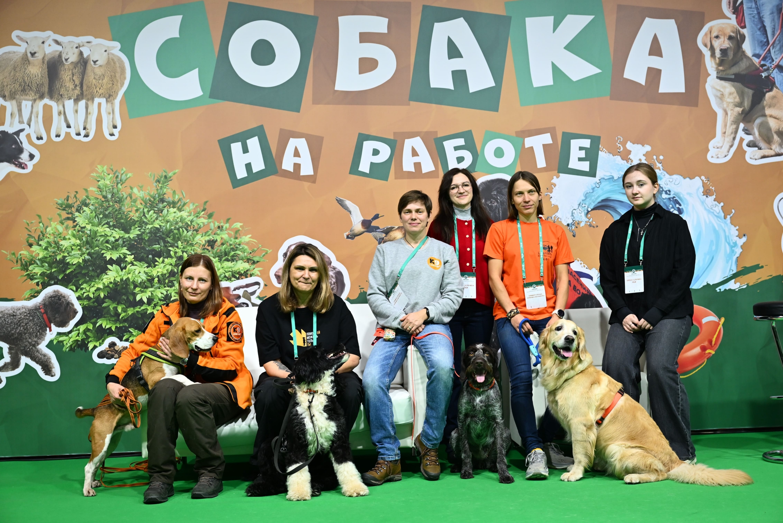 В Москве прошла выставка собак «Евразия 2025» В Москве прошла выставка собак «Евразия 2025»