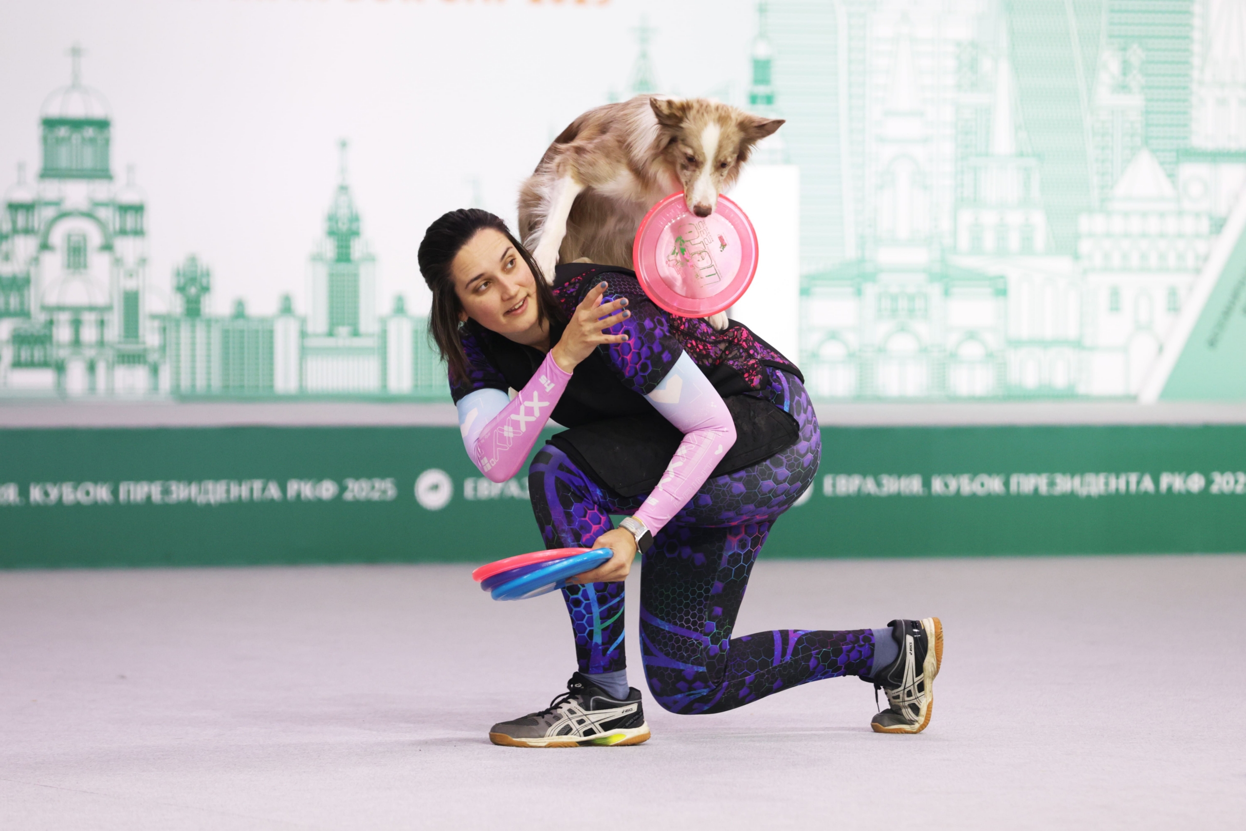 В Москве прошла выставка собак «Евразия 2025» В Москве прошла выставка собак «Евразия 2025»