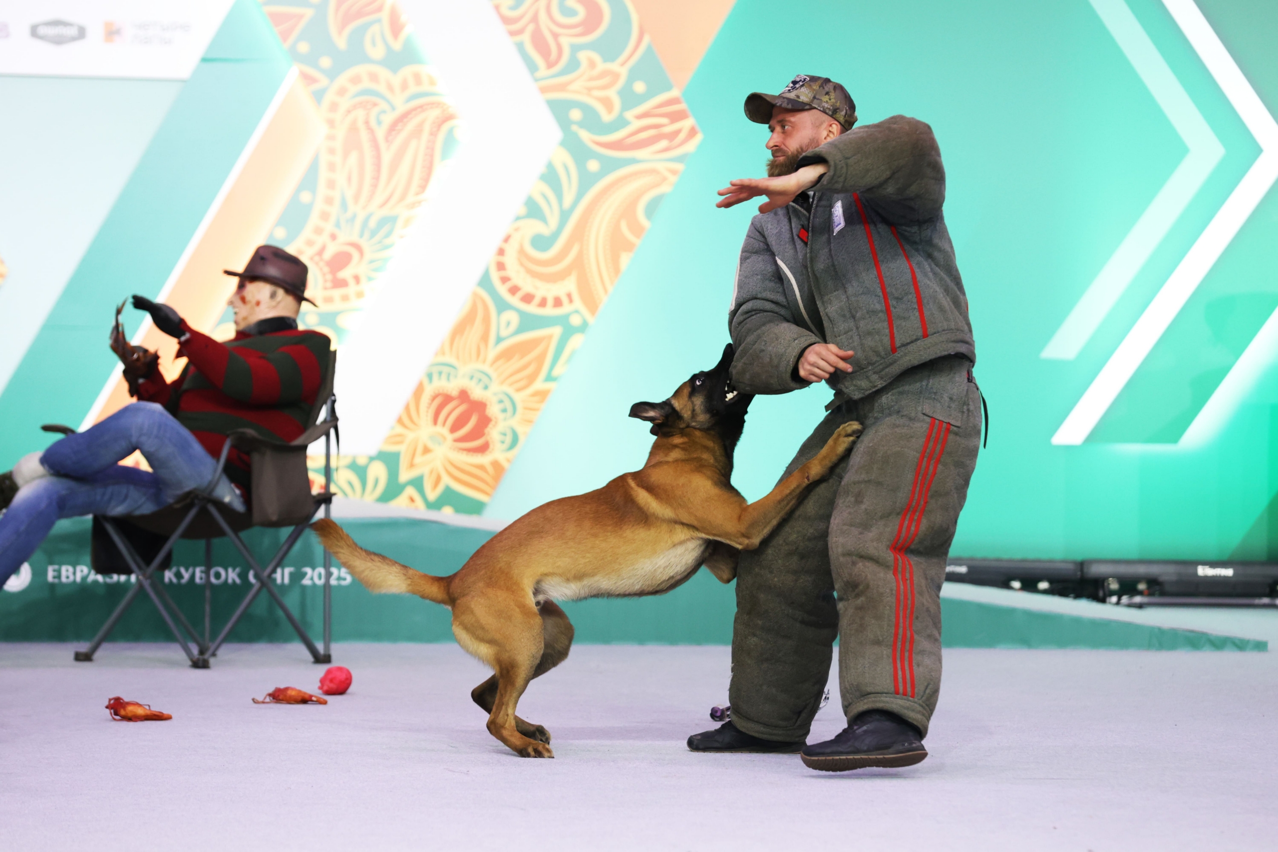 В Москве прошла выставка собак «Евразия 2025» В Москве прошла выставка собак «Евразия 2025»