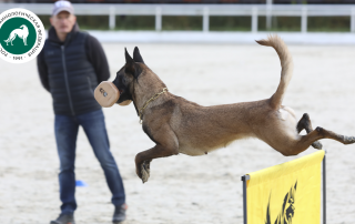 Первый Турнир мастеров прошел в Москве