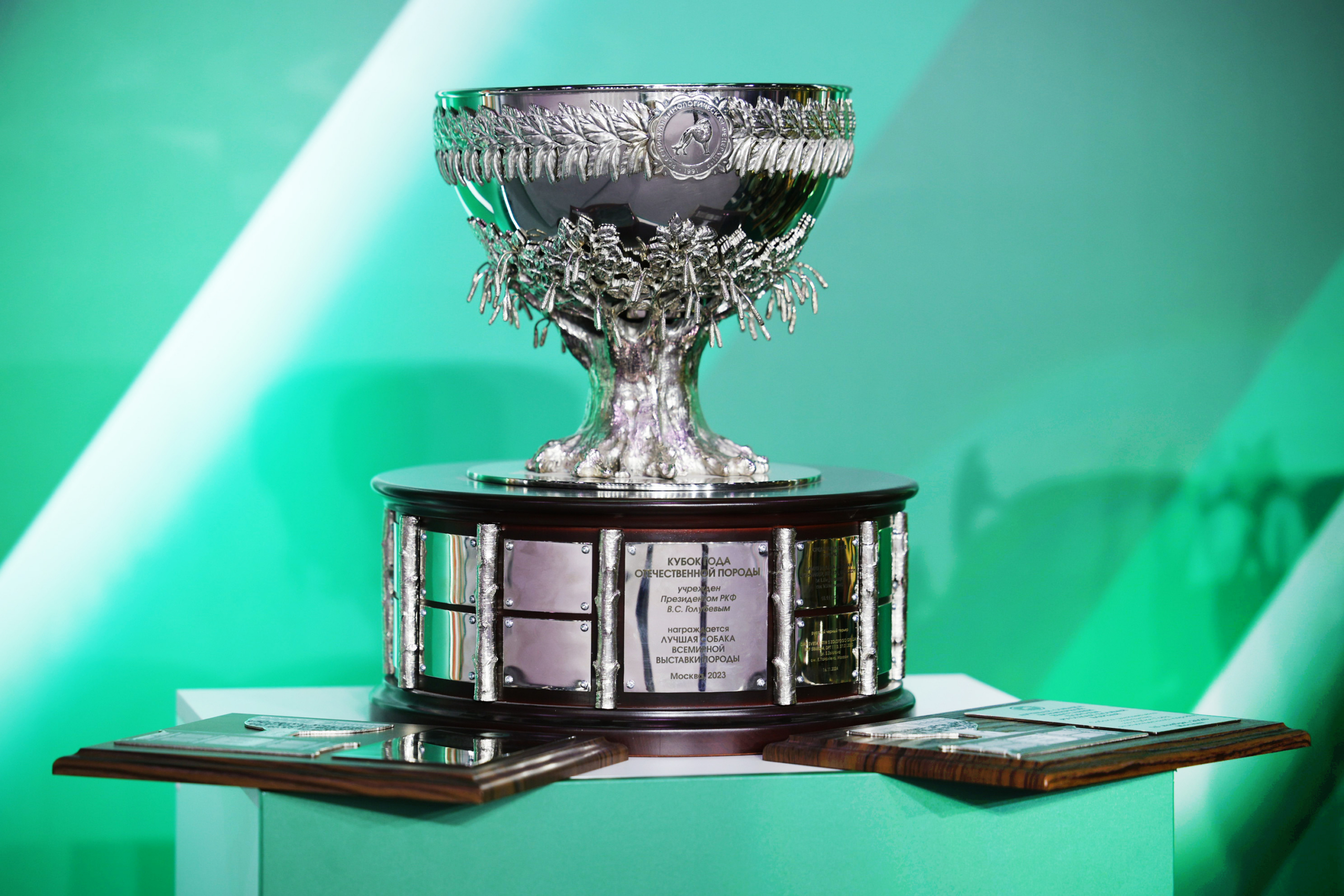 В Москве прошла выставка собак «Евразия 2025» В Москве прошла выставка собак «Евразия 2025»