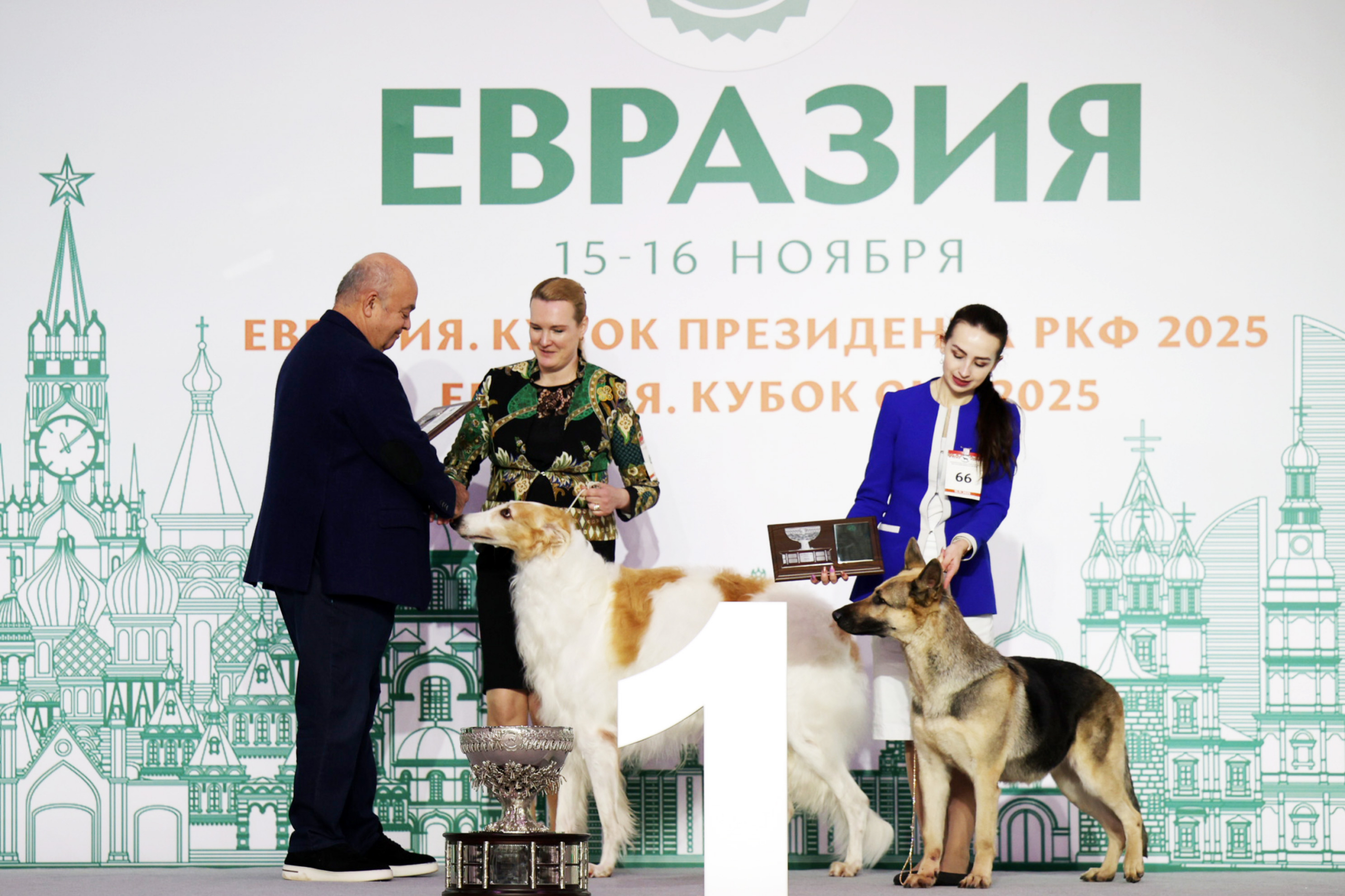 В Москве прошла выставка собак «Евразия 2025» В Москве прошла выставка собак «Евразия 2025»