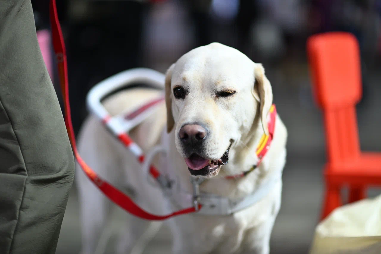 Аккредитация на выставки Аккредитация на выставки
