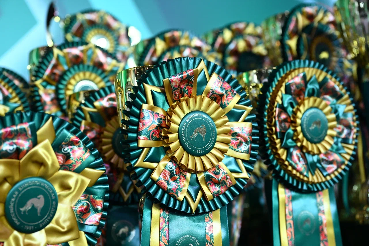 Аккредитация на выставки Аккредитация на выставки