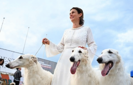 Аккредитация на выставки Аккредитация на выставки