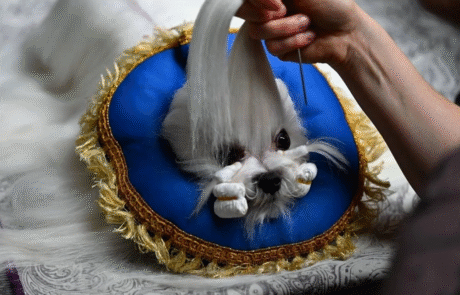 Аккредитация на выставки Аккредитация на выставки