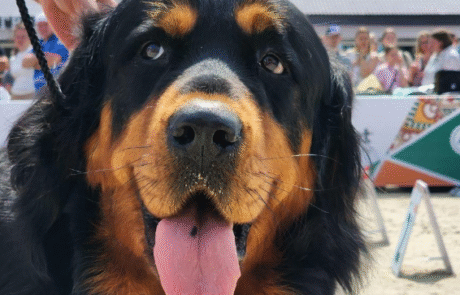 Аккредитация на выставки Аккредитация на выставки